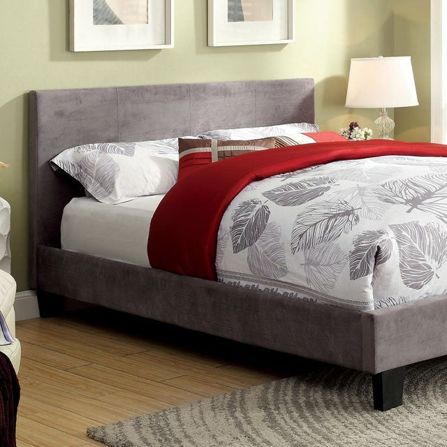 FOA WINN PARK Contemporary Gray Bed CM7008GF