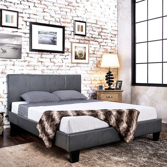 FOA WINN PARK Contemporary Gray Bed CM7008GY