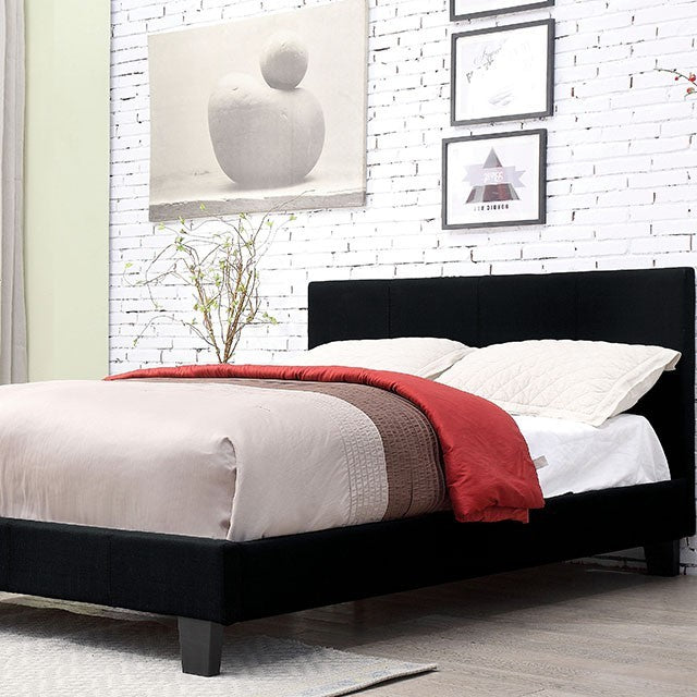 FOA SIMS Contemporary Black Bed CM7078BK