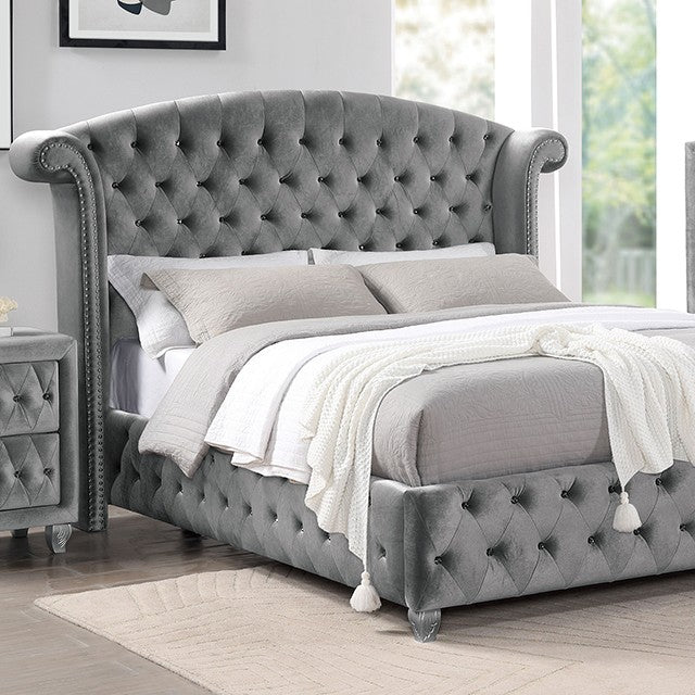 FOA ZOHAR Glam Gray Velvet-like Bed CM7130GY