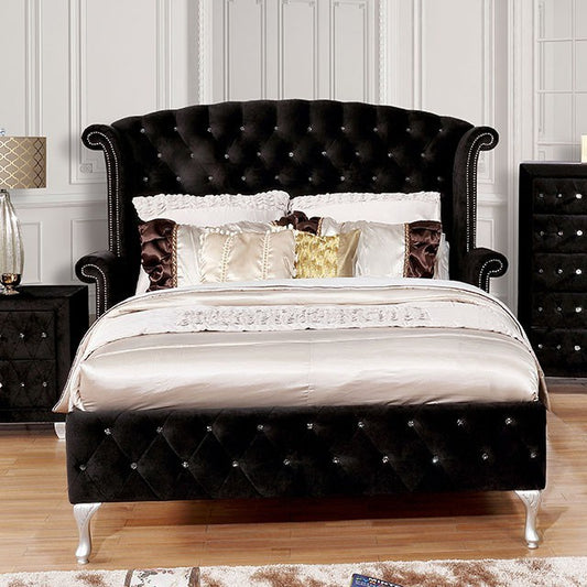 FOA ALZIRE Glam Black Velvet-like Fabric Bed CM7150BK