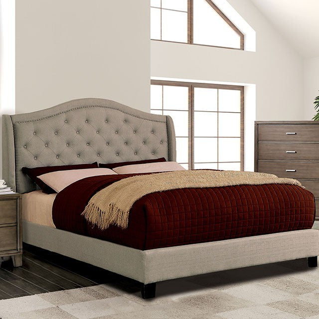 FOA CARLY Transitional Bed CM7160