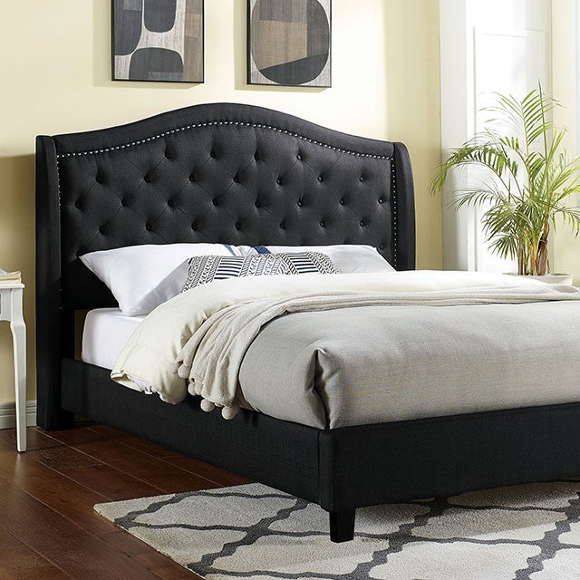 FOA CARLY Transitional Bed CM7160