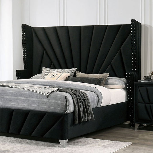 FOA CARISSA Transitional Black Bed CM7164