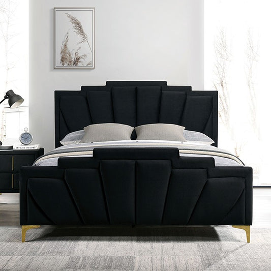 FOA FLORIZEL Glam Black/Gold Bed CM7411BK