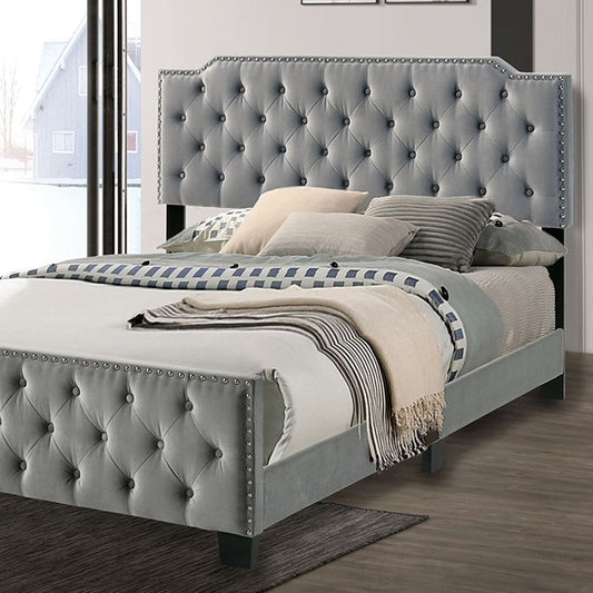 FOA CHARLIZE Contemporary Flannelette Bed CM7414LG/NV