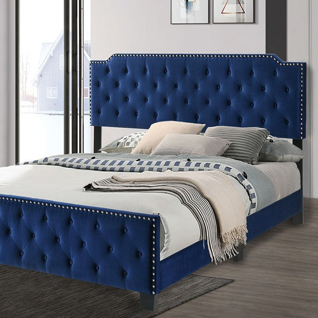 FOA CHARLIZE Contemporary Flannelette Bed CM7414LG/NV