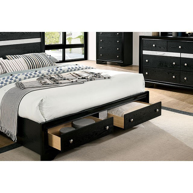 FOA CHRISSY Contemporary Black Bed CM7552BK