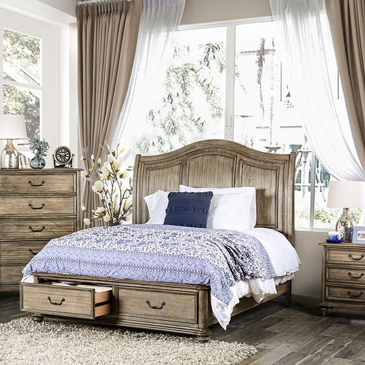 FOA BELGRADE Transitional Style bed CM7613