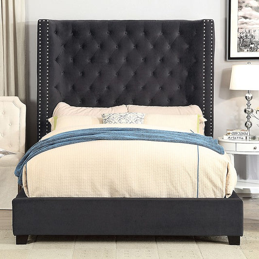 FOA ROSABELLE Transitional Black Velvet-Like Fabric Bed CM7669BK