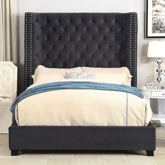 FOA MIRABELLE Transitional Dark Gray Velvet-like Fabric Bed CM7679DG