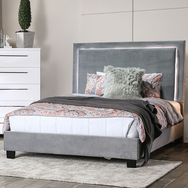 FOA ERGLOW Contemporary Gray Bed CM7695GY