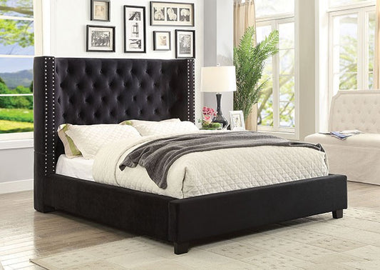 FOA CARLEY Transitional Flannelette Black Bed CM7775BK