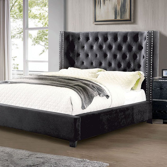 FOA CAYLA Transitional Dark Gray Flannelette bed CM7779DG