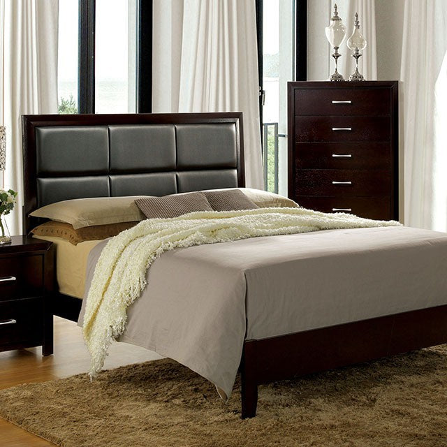 FOA JANINE Contemporary Espresso Bed CM7868