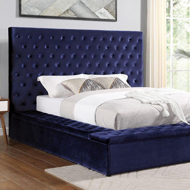 FOA GOLATI Transitional Blue Flannelette Bed CM7895BL