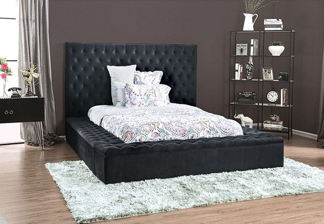 FOA DAVIDA Transitional Dark Gray Flannelette Bed CM7897DG