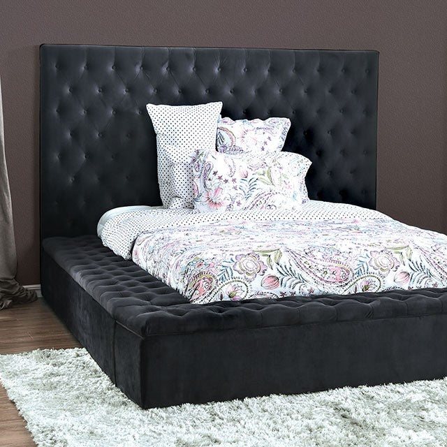 FOA DAVIDA Transitional Dark Gray Flannelette Bed CM7897DG